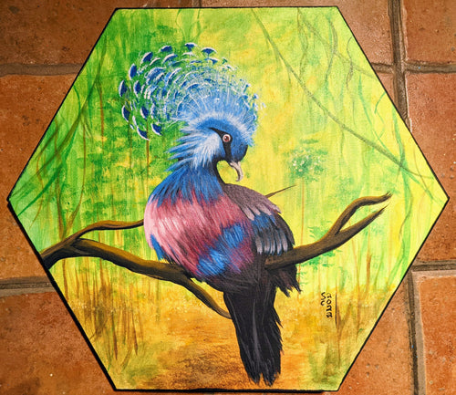 Victoria Crowned Pigeon